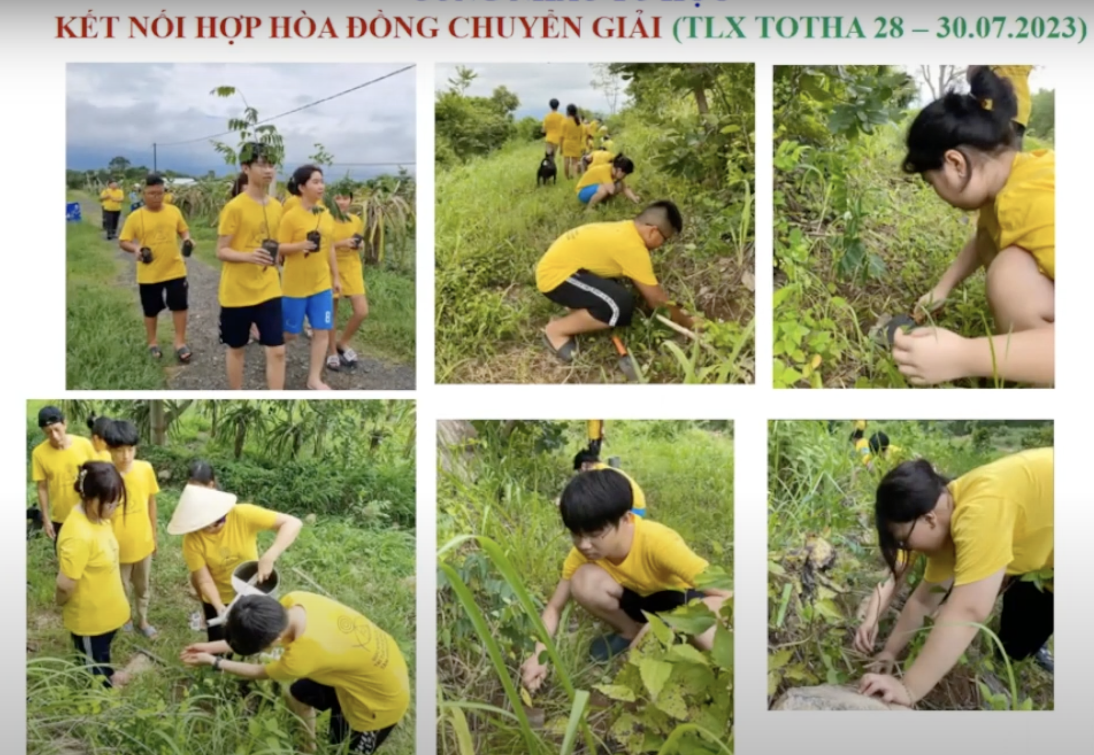 Chia sẻ về trải nghiệm giải chuyển tại Thanh Long Xá Totha và các đồng nhi tham gia Ngày Chủ Nhật Yêu Thương từ ngày 28 - 30/7/2023