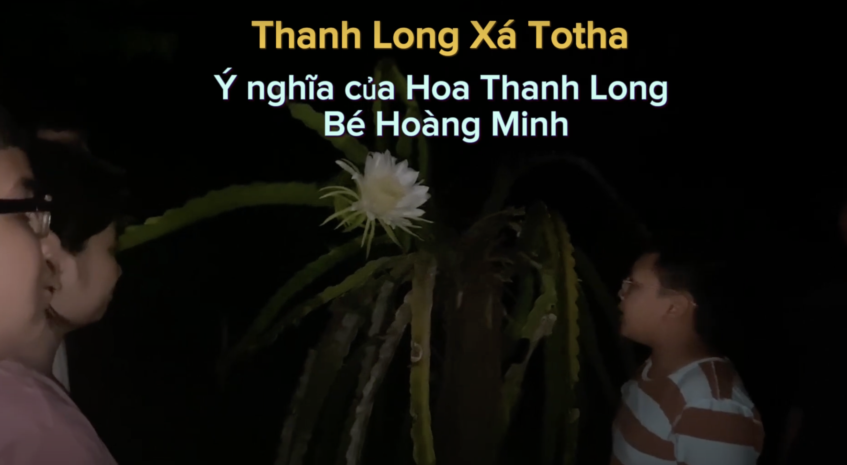 Ý nghĩa Hoa Thanh Long- Bé Hoàng Minh chia sẻ