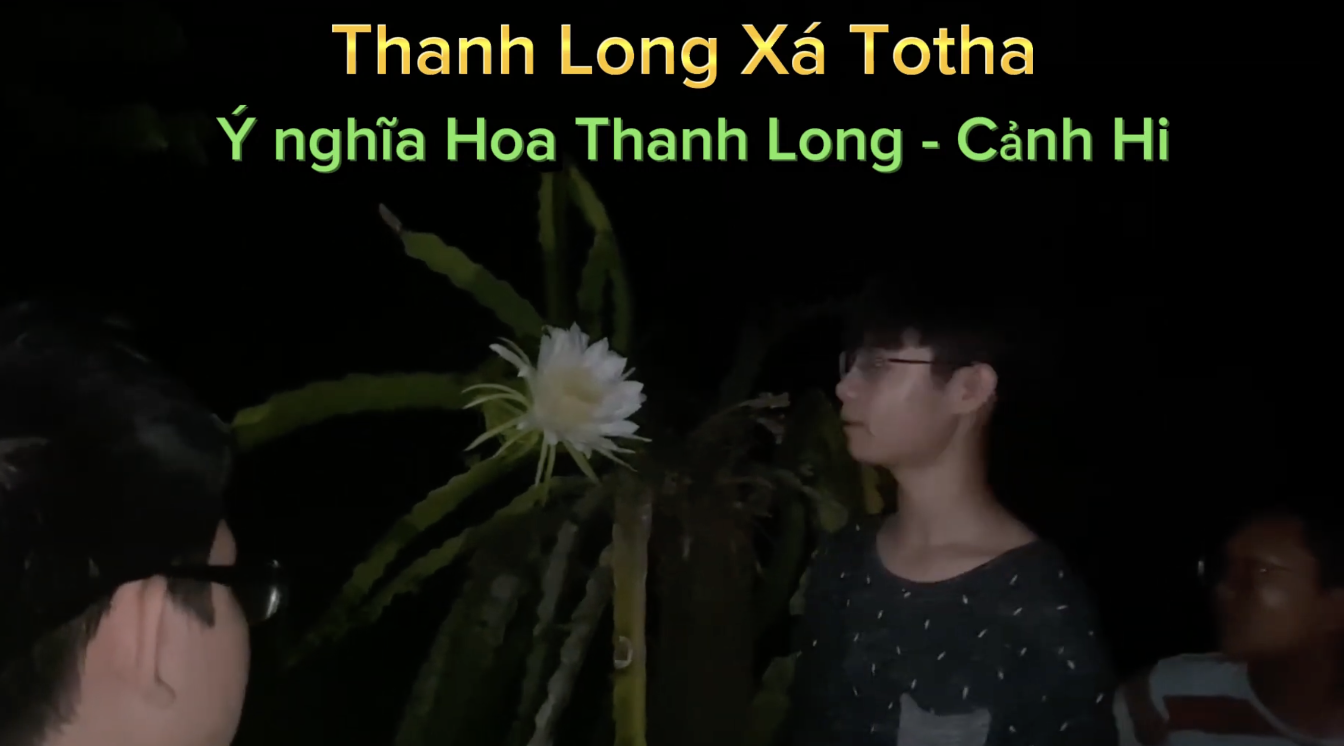 Ý nghĩa và công dụng hoa Thanh Long - Bé Cảnh Hi chia sẻ